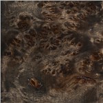Burl