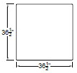 Large Bumper